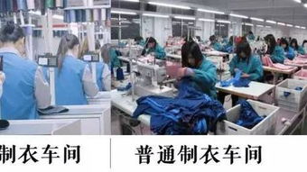 服裝行業哀鴻遍野，這家中國企業卻火遍全球